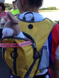 Bunny in bag